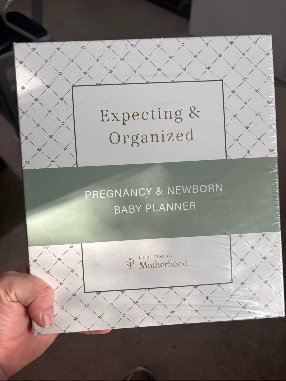 Expecting & Organized Pregnancy & Newborn Baby Planner - Sage Green Accent